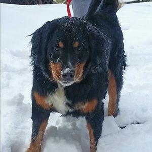 Meet your Posher, Keri